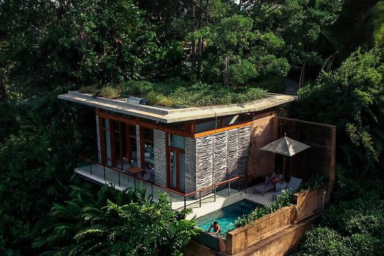 Eco-Lodges and Treehouse Stays