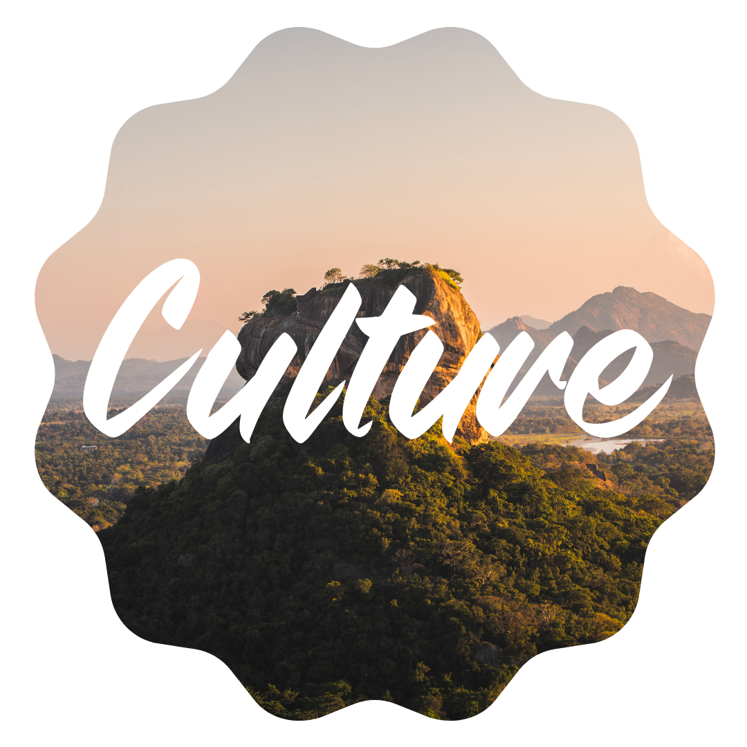 Culture (3)